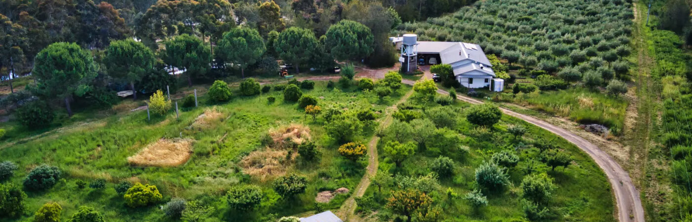 Permaculture Design and Education