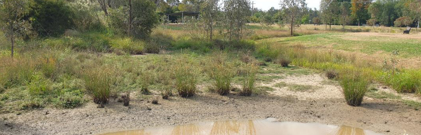 Community wetlands