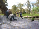 first-planting-oval-bridge-oct-04