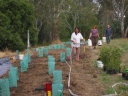 watering-baird-st-planting-nov-04