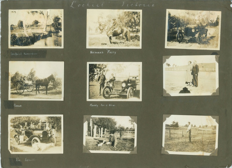 141 Violet Town Photograph Gallery