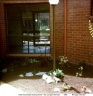 The Garden Club working at the Bush Nursing Centre