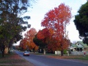 Tulip Street looking towards railway line