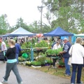 DSC02057.jpg