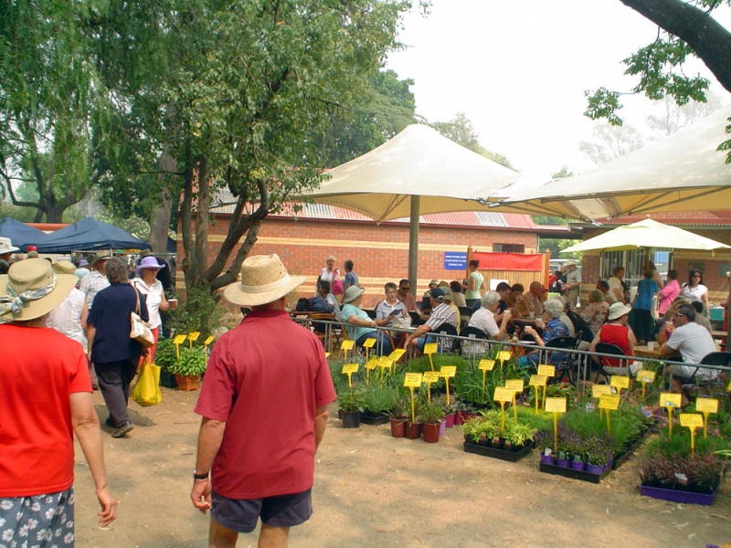 Community Market 2006 Violet Town Photograph Gallery