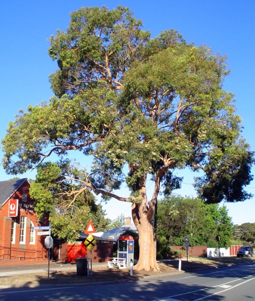 Violet Town Post Office 2006 Violet Town Photograph Gallery