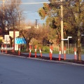 Cowslip Street Median Strip Restoration 2008