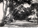 Bridge over Honeysuckle Creek