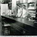 Harcourt Store assistants