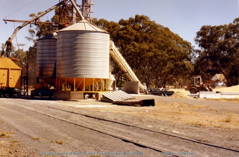 Loading Wheat at Railway Station Violet Town Photograph Gallery