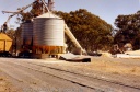 Loading Wheat at Railway Station