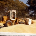 Loading Wheat at Railway Station