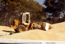 Loading Wheat at Railway Station