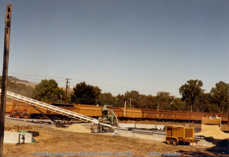 Loading Wheat at Railway Station Violet Town Photograph Gallery