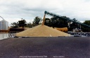 Loading Wheat at Railway Station