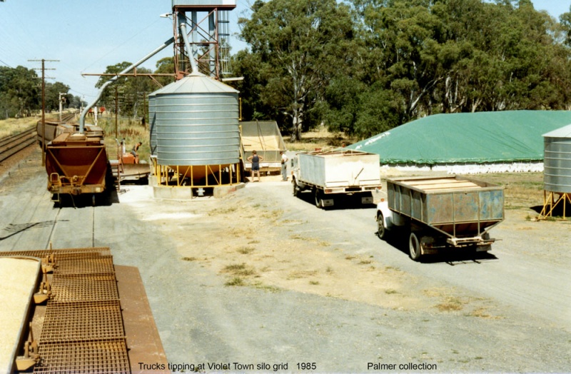 Loading Wheat at Railway Station Violet Town Photograph Gallery