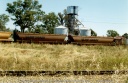 Loading Wheat at Railway Station