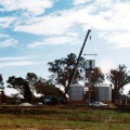 Wheat handling at Railway Station