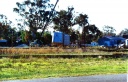 Wheat handling at Railway Station