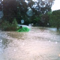 Honeysuckle Creek floods Violet Town