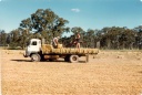 Making Hay