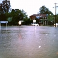 Honeysuckle Creek floods Violet Town