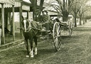 Horse and Cart