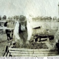 Dipping grapes at Fairview