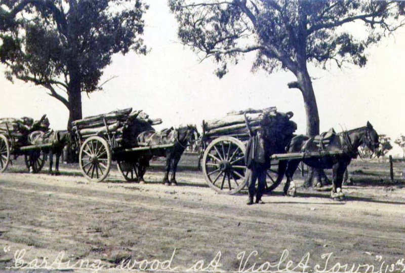 Carting wood at Violet Town