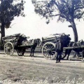 Carting wood at Violet Town