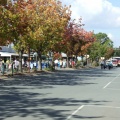 Violet Town Street Parade