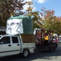 Violet Town Street Parade