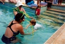 Violet Town Swimming Pool