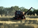 Digger and Rosie's harvester