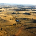 sharrock002.jpg