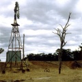 Windmill, Bradshaw's Farm Caniambo 2000s