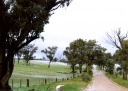 Hail storm, Caniambo 1980s