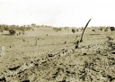 Ripping Rabbit furrows, Gowangardie 1950s 