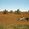 Pulling out old stumps, Walls farm, Gowangardie