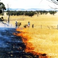 Fire on Walker's property. 1990s