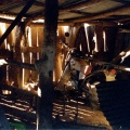 Motor bikes in stables, Gowangardie