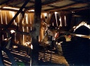 Motor bikes in stables, Gowangardie