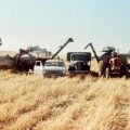 Harvest, Upotipotpon. 1970s