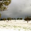 Hail storm, Tamleugh. 1980s