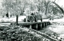 Taking a load of hay across Harris Bridge, Broken River Upotipotpon. 1960s