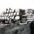 Load of wool, Rex Park, Caniambo