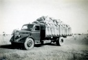 Truck loaded with bagged oats. Caniambo. 1950s