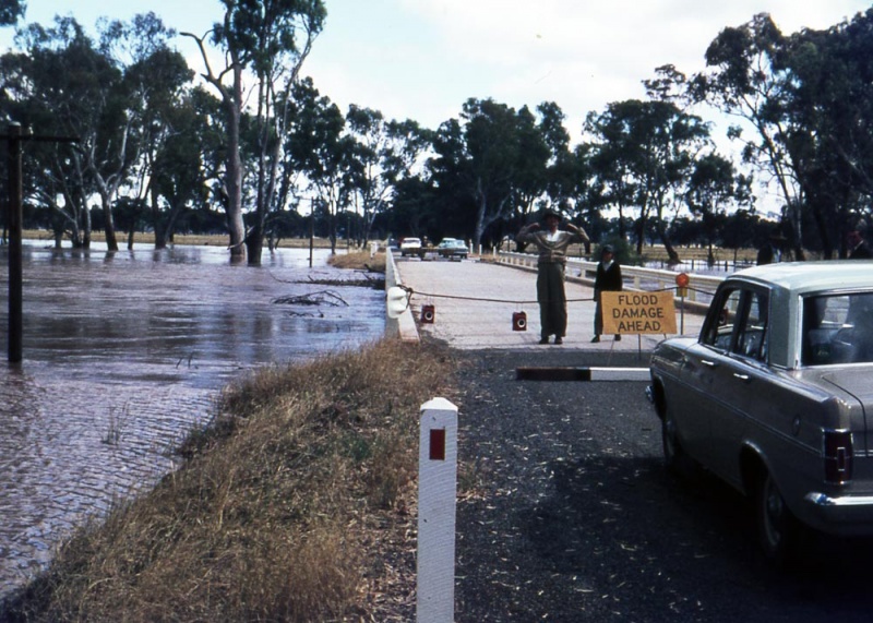 laws010 Violet Town Photograph Gallery