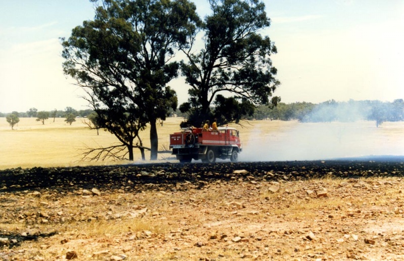 mkay010 Violet Town Photograph Gallery