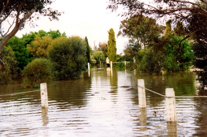 mkay039 Violet Town Photograph Gallery